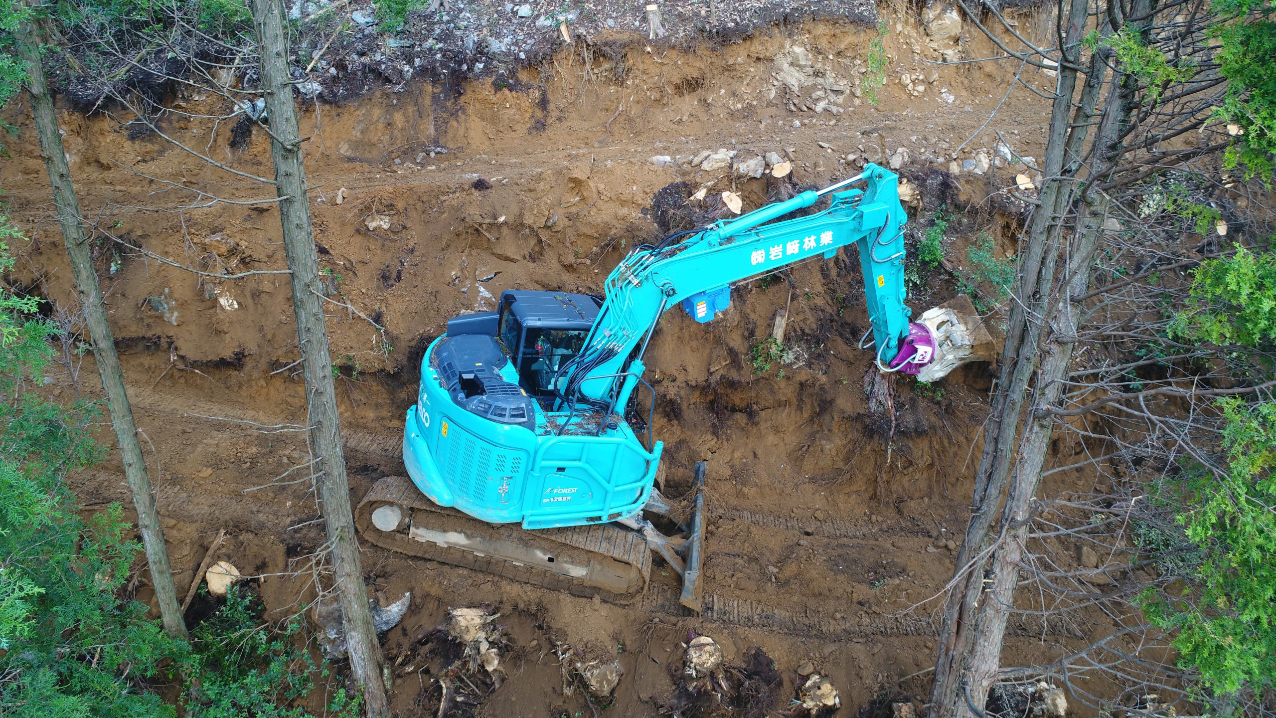 フェラーバンチャザウルスロボ